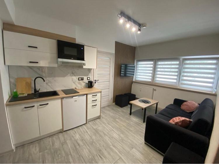 Sara Apartament Z Sauna Ustron Exterior photo